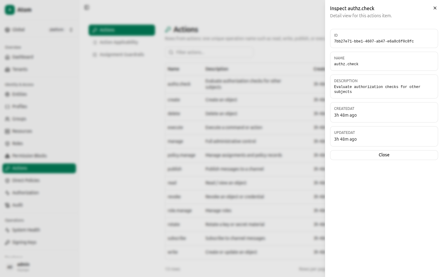 Action inspect view