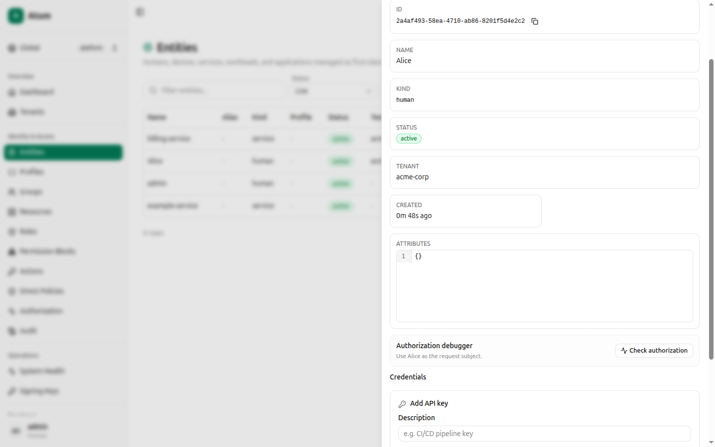 Add API key inline form